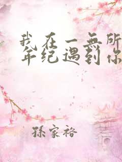 我在一无所有的年纪遇到你是什么歌