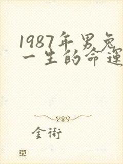 1987年男兔一生的命运