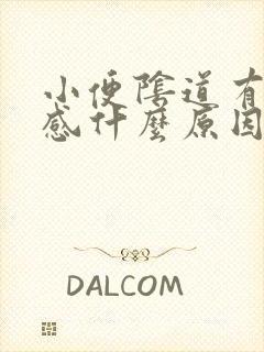 小便阴道有刺痛感什么原因