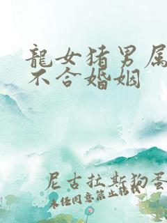 龙女猪男属相合不合婚姻