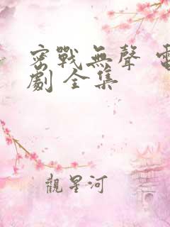 密战无声 电视剧 全集