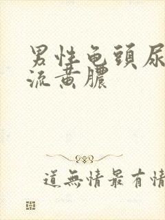 男性龟头尿道口流黄脓