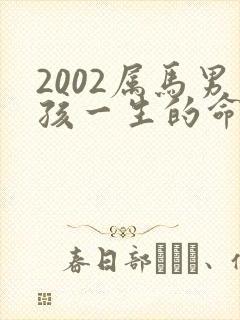 2002属马男孩一生的命运