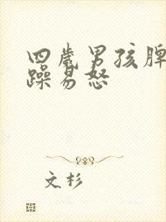 四岁男孩脾气暴躁易怒