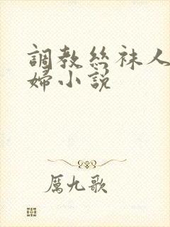 调教丝袜人妻少妇小说