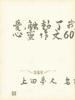 爱,触动了我的心灵作文600字