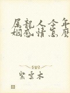 属龙人今年的婚姻感情怎么样