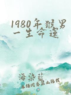 1980年猴男一生命运