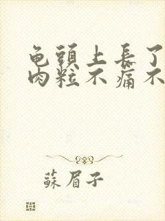 龟头上长了一个肉粒不痛不痒