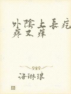 外阴上长疙瘩又疼又痒