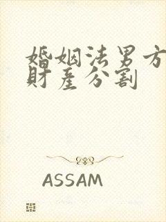 婚姻法男方出轨财产分割