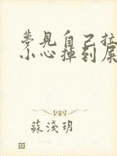 梦见自己拉屎不小心掉到屎坑里面