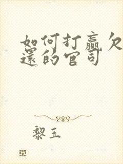 如何打赢欠钱不还的官司