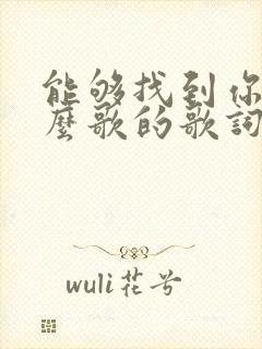 能够找到你是什么歌的歌词