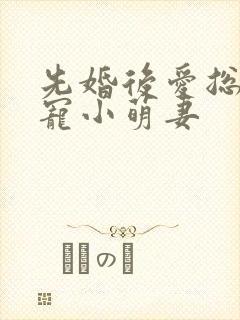 先婚后爱总裁盛宠小萌妻