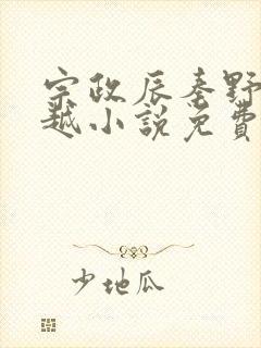 宗政辰秦野的穿越小说免费阅读