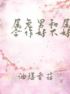 属兔男和属虎男合作好不好