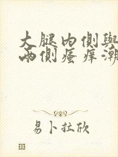 大腿内侧与阴囊两侧瘙痒潮湿发黑用什么药