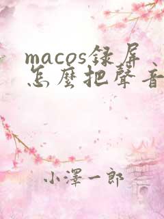 macos录屏怎么把声音录进去