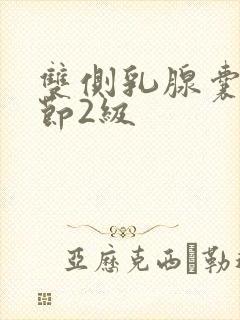 双侧乳腺囊性结节2级