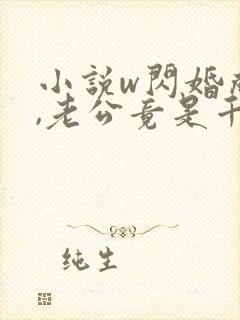 小说w闪婚成宠,老公竟是千亿大佬》