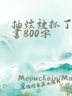 抽烟被抓了检讨书800字