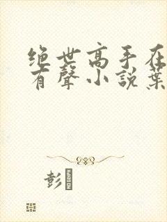 绝世高手在都市有声小说叶寻免费听