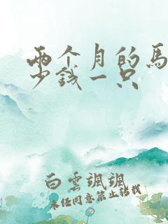 两个月的马犬多少钱一只