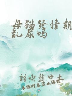 母猫发情期间会乱尿吗