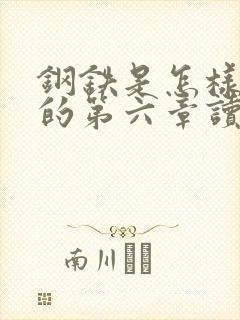 钢铁是怎样炼成的第六章读后感100字