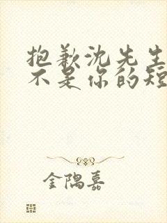 抱歉沈先生孩子不是你的短剧