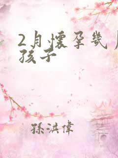 2月怀孕几月生孩子