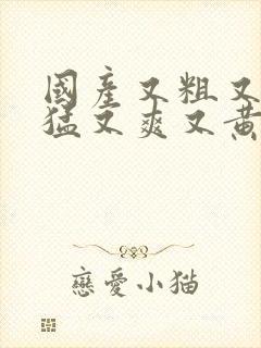 国产又粗又深又猛又爽又黄视频