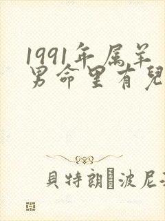 1991年属羊男命里有儿子吗