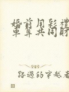 婚前用彩礼买的车算共同财产吗