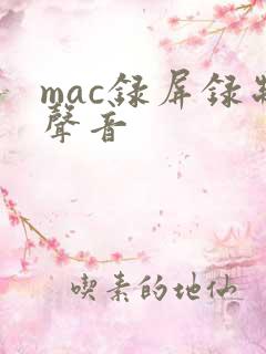 mac录屏录制声音