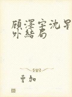 顾泽宇沈星晚番外结局