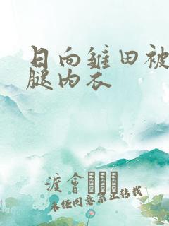 日向雏田被扒开腿内衣