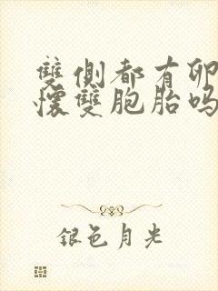 双侧都有卵泡会怀双胞胎吗