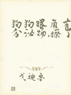 狗狗眼角有黄色分泌物,擦了一会又有