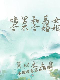 鸡男和马女属相合不合婚姻