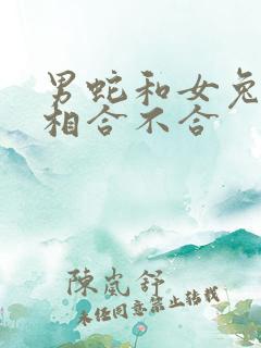 男蛇和女兔子属相合不合