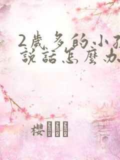 2岁多的小孩不说话怎么办