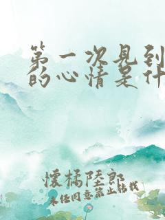 第一次见到你我的心情是什么歌