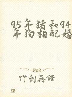 95年猪和94年狗相配婚姻如何