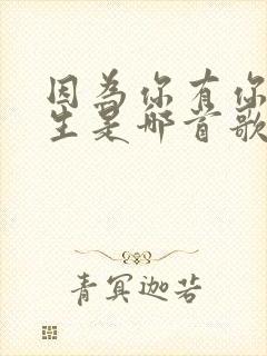 因为你有你的人生是哪首歌的歌词