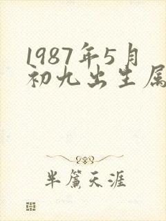 1987年5月初九出生属兔的命运好吗