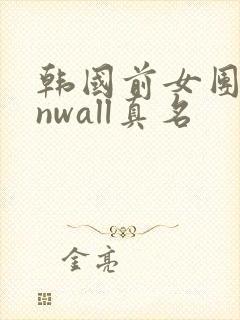 韩国前女团sunwall真名