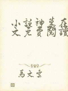 小说神墓在线全文免费阅读