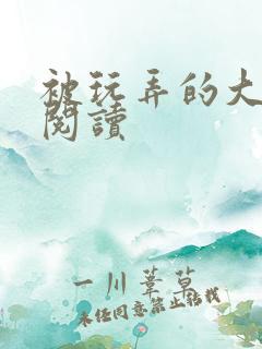 被玩弄的大小姐阅读